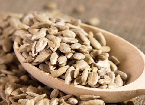 تصویر 4 از قیمت خرید مغز تخمه آفتابگردان با فروش عمده